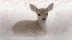 fawns!