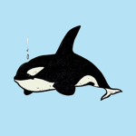 Navy Orca's