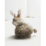 the cool specs of dust XD