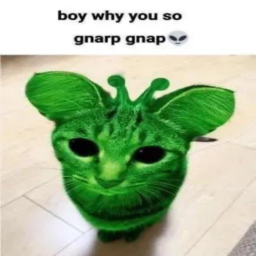 (gnarp) the best hangout  icon