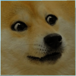 Raise a Doge (in progress)