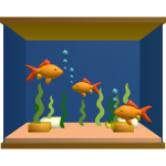 Gold Fish Tank