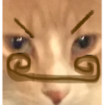 Cat Face Army