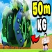 EGG OWNER SANDBOX [X999] icon