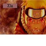ninja warrors