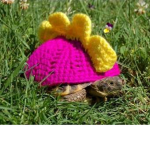 DA ROBLOX TURTLES