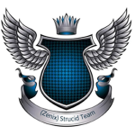 (Zenix) Strucid team