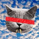 ВООFШАПG