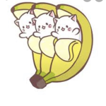 *+. Kitten squad! .+*