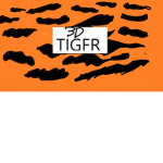 3D TIGER_JAIL BREAK