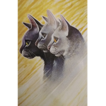 Cult of Warrior Cats