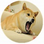 Doges United (BARK)