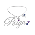reign silver necklace with locket /dittoo