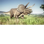Dino group fan club.