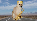 doggo studios.....