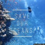 save ocean life