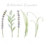 Lavender candle