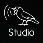Echo Raven Studio