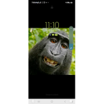 Monkey shirt selling