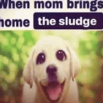 Sludge Pup Studios