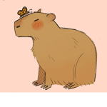 CABYBARA CLUB