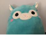 Baby blue’s group