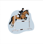 equine academy