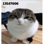 メ PurgedBy