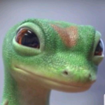 GEICO Fan Club