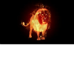 Flame Pride