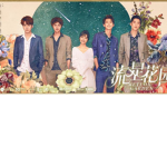 METEOR GARDEN FANS