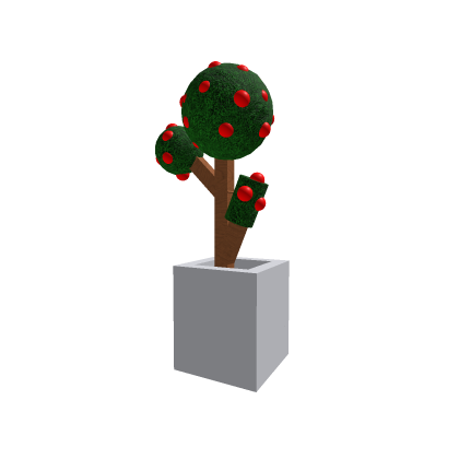 Mini Apple tree