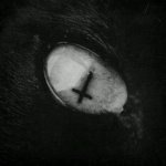 cannibal slaughter