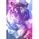 Galaxy Tiger Squad