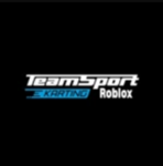 Teamsport Karting Roblox.