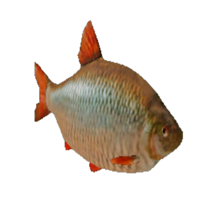 fish (TPRR) Roblox decal