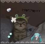 *+• cat garden •+*