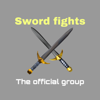 Sword fights arena