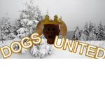K-Nine's United