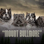 MOUNT BULLMORE HQ