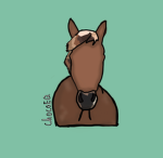 New South Wales Riding Academy