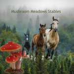 Mushroom Meadows Stables