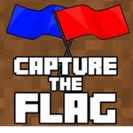 capture the flag group WALRUS_OVERLORD