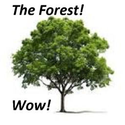 a normal roblox forest.. right? (singleplayer)