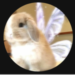 hsshduijdiwjsu