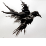 The raven's feathers