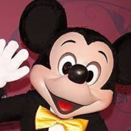 MIKKEY MOUSE HOUSE