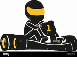 Kart Racing Simulator!