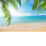 Tropical Hotes TM