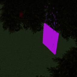 The Forest